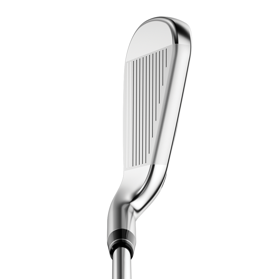 Callaway Big Bertha B21 Eisen